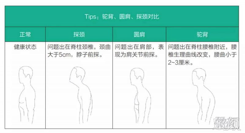 案例图片