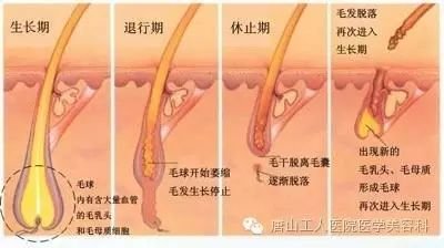 https://img.miyanlife.com/mnt/timg/171214/1150352923-7.jpg