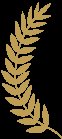 https://img.miyanlife.com/mnt/timg/171215/111Q5N43-2.jpg