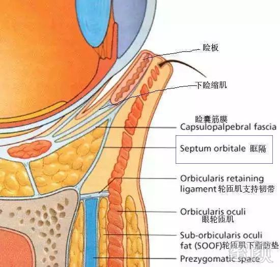 案例图片