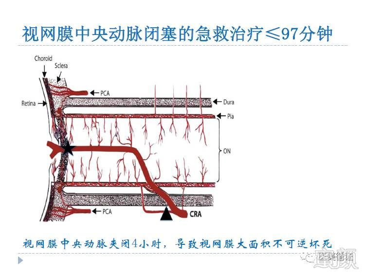 https://img.miyanlife.com/mnt/timg/171215/1230103161-9.jpg