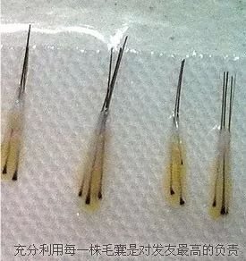 https://img.miyanlife.com/mnt/timg/171216/144F61917-5.jpg