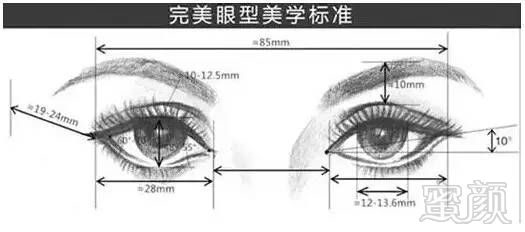 案例图片