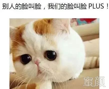 案例图片