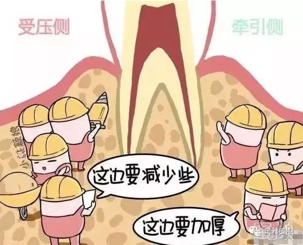 https://img.miyanlife.com/mnt/timg/171218/10253B231-1.jpg