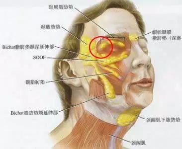 https://img.miyanlife.com/mnt/timg/171218/12153Ta3-3.jpg