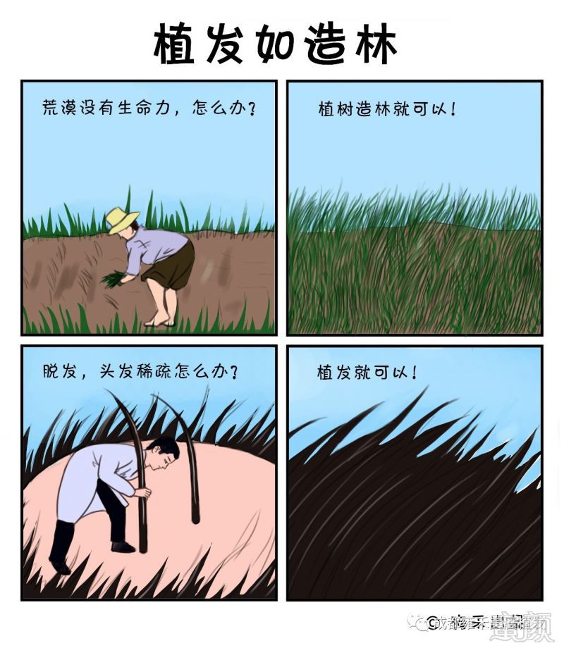 https://img.miyanlife.com/mnt/timg/171219/1249336427-3.jpg