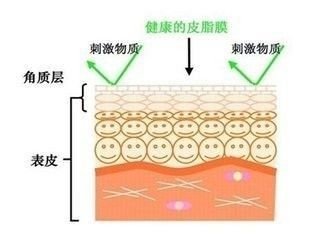 https://img.miyanlife.com/mnt/timg/171219/130T02217-3.jpg
