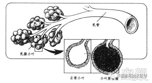 案例图片