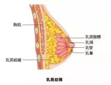 案例图片