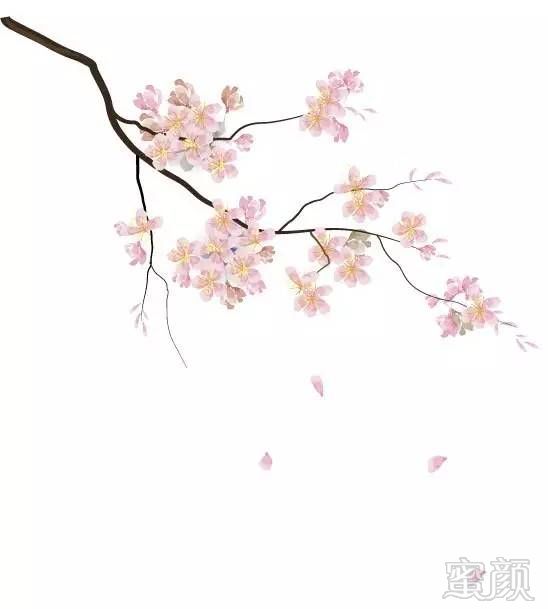 https://img.miyanlife.com/mnt/timg/171221/1311495422-2.jpg