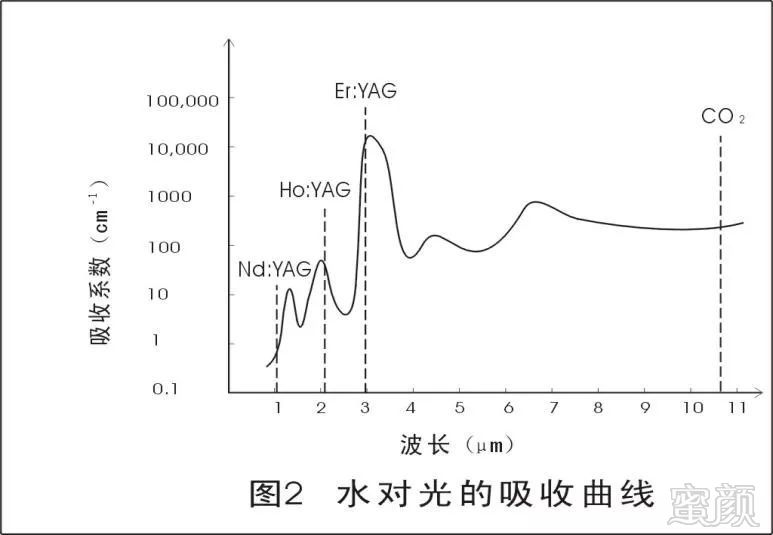 案例图片