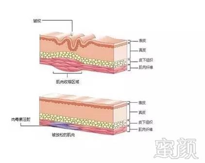 案例图片