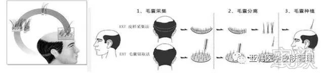 https://img.miyanlife.com/mnt/timg/171223/14054249E-2.jpg