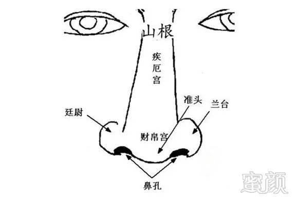 案例图片