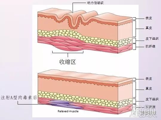 案例图片