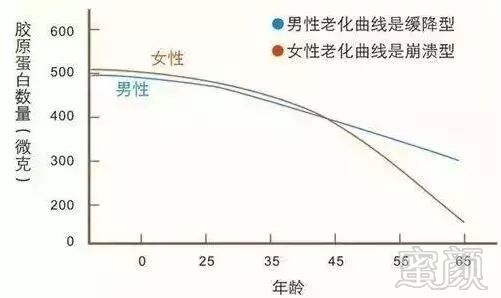 案例图片