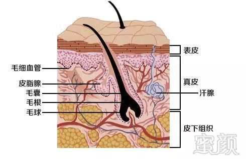 https://img.miyanlife.com/mnt/timg/171229/1130226030-1.jpg