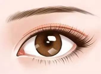 https://img.miyanlife.com/mnt/timg/171230/1254561145-7.jpg