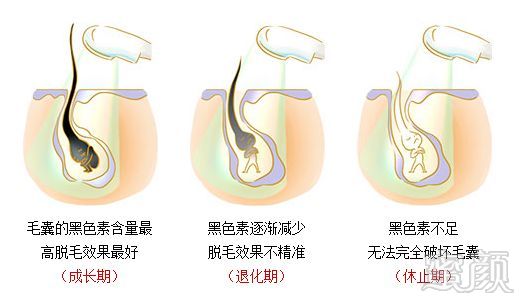 案例图片