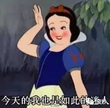 案例图片