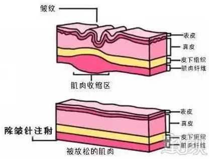 案例图片