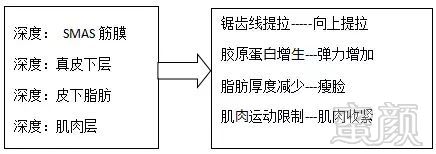 案例图片