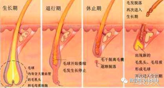 https://img.miyanlife.com/mnt/timg/180103/1133342238-0.jpg