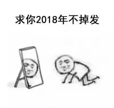 案例图片