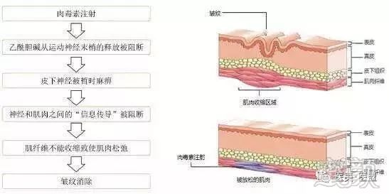 案例图片