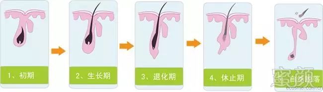 https://img.miyanlife.com/mnt/timg/180104/1151303302-2.jpg