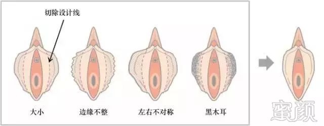 案例图片