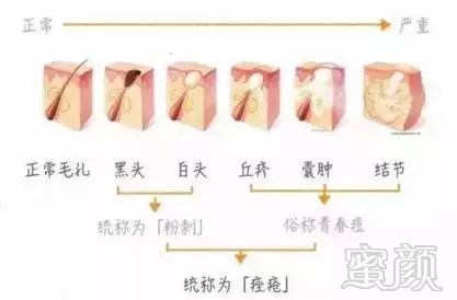 案例图片