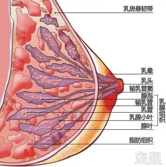 案例图片