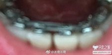 https://img.miyanlife.com/mnt/timg/180106/120910JF-7.jpg