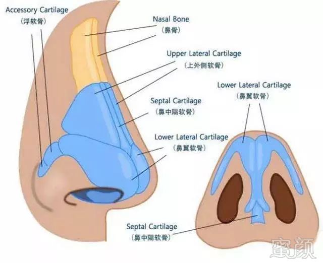 案例图片