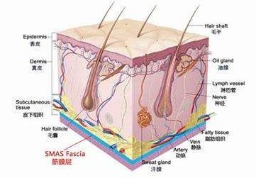 案例图片