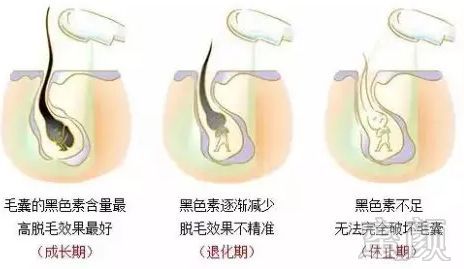 https://img.miyanlife.com/mnt/timg/180108/115I42353-2.jpg