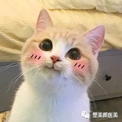 https://img.miyanlife.com/mnt/timg/180109/115931NK-1.jpg