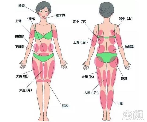 https://img.miyanlife.com/mnt/timg/180110/12534623U-3.jpg