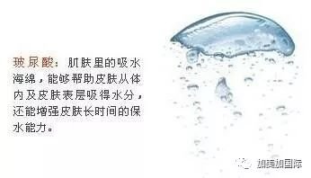 https://img.miyanlife.com/mnt/timg/180110/134SK350-0.jpg