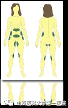 https://img.miyanlife.com/mnt/timg/180110/142I634N-3.jpg