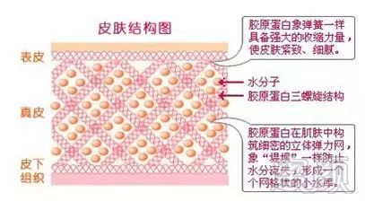 https://img.miyanlife.com/mnt/timg/180111/11504235C-3.jpg