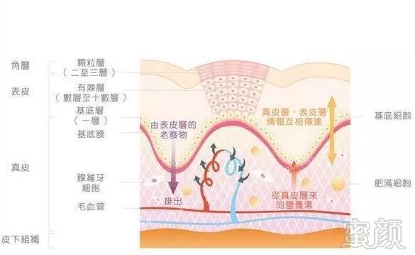 https://img.miyanlife.com/mnt/timg/180112/14002SJ4-4.jpg