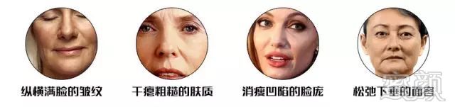 案例图片