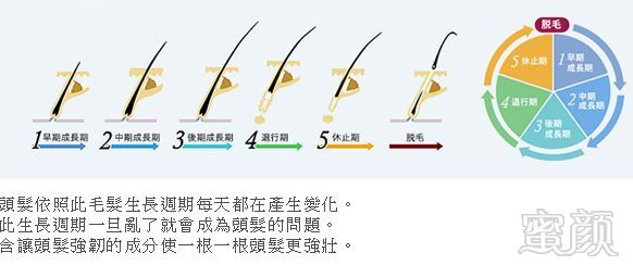 https://img.miyanlife.com/mnt/timg/180113/11421364F-10.jpg