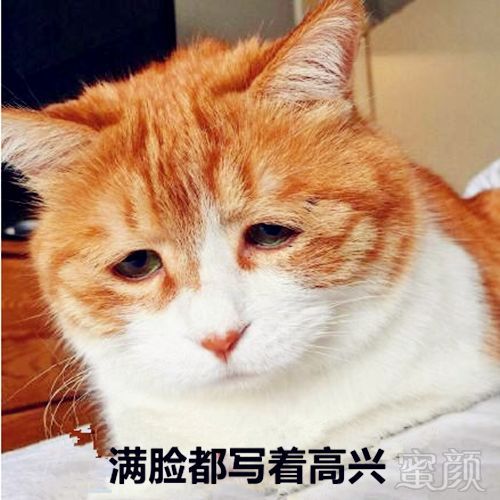 https://img.miyanlife.com/mnt/timg/180113/124GA2X-0.jpg