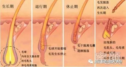 https://img.miyanlife.com/mnt/timg/180114/1255541S8-12.jpg
