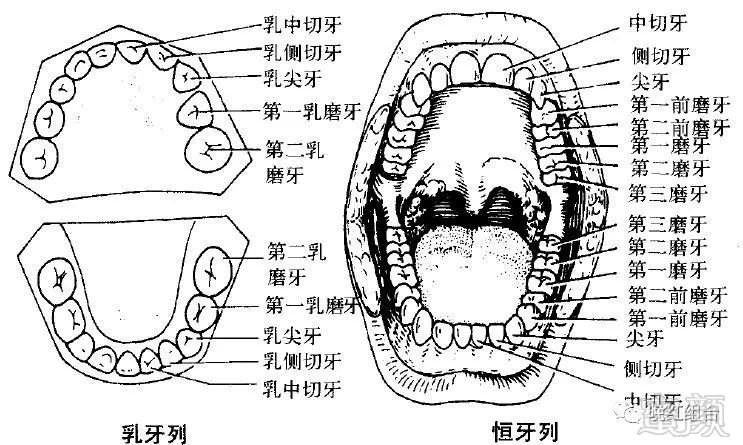 https://img.miyanlife.com/mnt/timg/180115/122G63H4-1.jpg