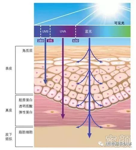 案例图片